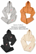 ⚡️JC ⚡️ FEMALE CROPPED SWEATSUITS